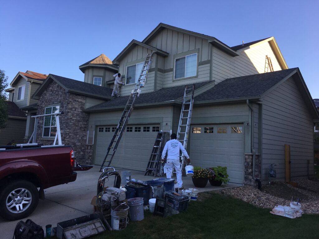 Professional Painting Services